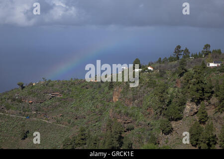 Rainbow sulla cresta della montagna con alberi di pino e Dragos nel nord-ovest di La Palma. Sullo sfondo dell'Oceano Atlantico e Hevy pioggia nuvole. Isole Canarie. Foto Stock
