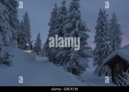 Paesaggio, profondamente coperta di neve, con abeti e Chalet, all'alba Foto Stock