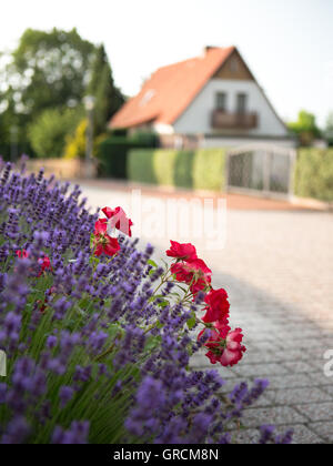 Villetta in zona residenziale Foto Stock