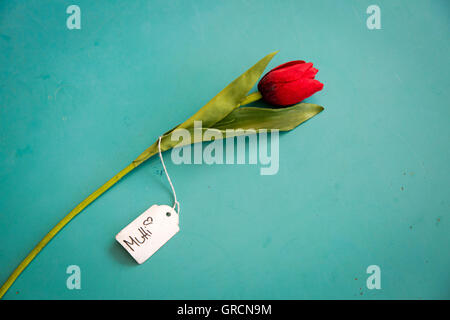 La festa della mamma , per la mamma Foto Stock