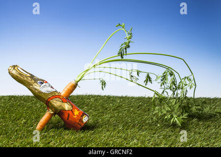 Il cioccolato Easterbunny pugnalato con una carota Foto Stock