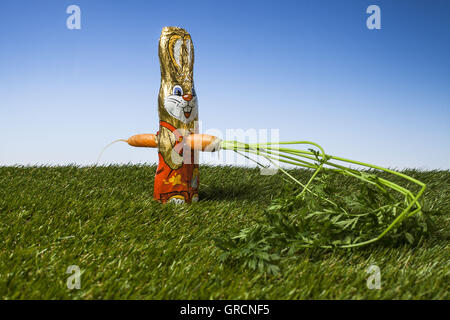 Il cioccolato Easterbunny pugnalato con una carota Foto Stock
