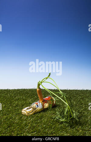 Il cioccolato Easterbunny pugnalato con una carota Foto Stock