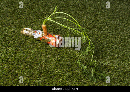 Il cioccolato Easterbunny pugnalato con una carota Foto Stock