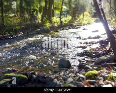 Brook sotto il sole Foto Stock
