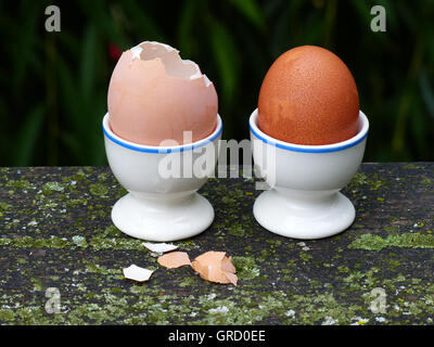 Due uova sode per la colazione in Eggcups Foto Stock