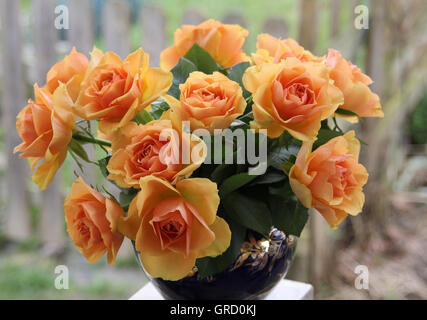 Color albicocca bouquet di rose in un vaso Foto Stock