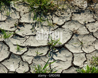 Incrinature nella terra arida Foto Stock