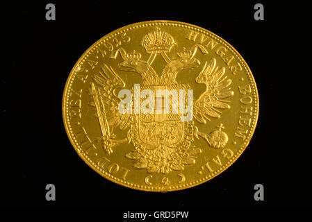 Oro austriaco Ducat con sfondo nero Foto Stock