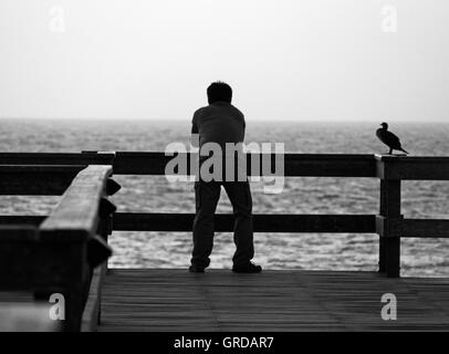 Un uomo e un gabbiano stanno guardando l'oceano Foto Stock