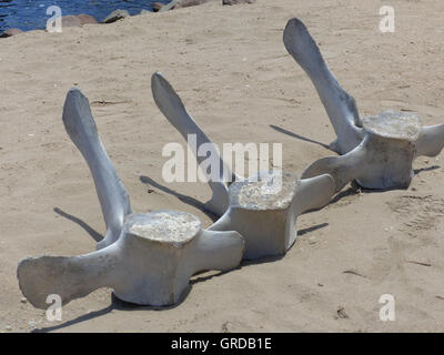 La vertebra di balena, Cetacea, Walvis Bay Foto Stock