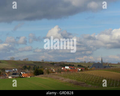 Rheinhessen Villaggio del vino Bechtolsheim, in vista del Vertice di Petersberg Foto Stock