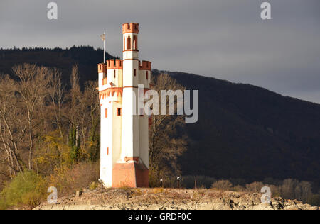 Torre di topi nel fiume Reno vicino a Bingen, Renania-Palatinato, Germania, Europa Foto Stock