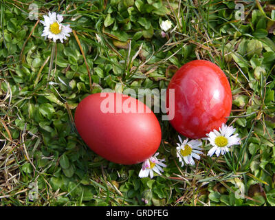 Due rosso uova di Pasqua nascosta in un prato Foto Stock