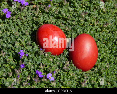 Due rosso uova di Pasqua Foto Stock