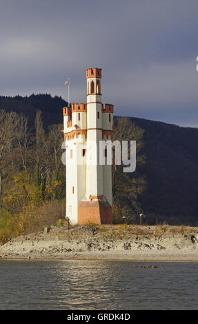Torre di topi vicino a Bingen in corrispondenza di una piccola isola del fiume Reno, dal XIII secolo Foto Stock