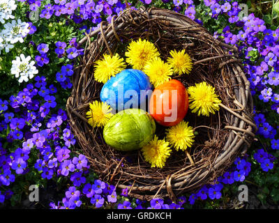 Nido di pasqua con tre colorate Uova di Pasqua in fioritura viola le piante ornamentali Foto Stock