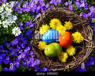 Nido di pasqua con tre colorate Uova di Pasqua in fioritura viola le piante ornamentali Foto Stock