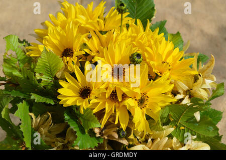 Topinambur giallo fiori, foglie di faggio e Beechnuts, mazzo di fiori Foto Stock