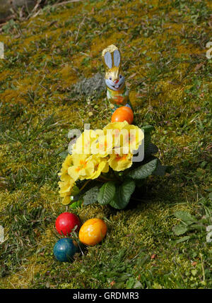 Pasqua, uova colorate, Cioccolato coniglietto di Pasqua e di primule giallo in un prato Foto Stock