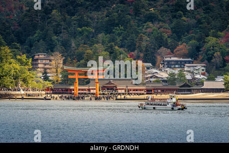 Grande floating gate (O-Torii) sull'isola di Miyajima vicino santuario scintoista di Itsukushima Foto Stock