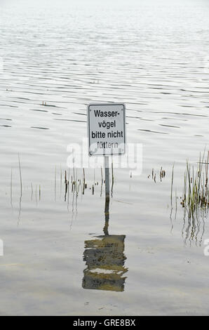 Segnale di divieto in acqua, divieto di mangimi, vi prego di non alimentare il Waterfowls Foto Stock