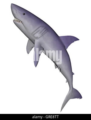 Shark - 3D render Foto Stock