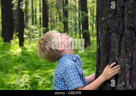 Bambino (boy, mani) avvolgente (pine tree), giocare e divertirsi all'aperto in estate (Forest Park). La tutela ambientale concetto Foto Stock