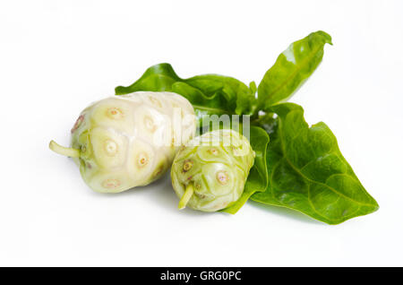 Il Noni (denominato anche come Morinda citrifolia, Rubiaceae Noni, grande morinda, gelso indiano, spiaggia del gelso, formaggio, frutta Gentianale Foto Stock