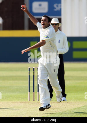 Kabir Ali di Hants lancia un appello per un paletto - Essex CCC vs Hamsphire CCC - LV County Cricket campionato presso la Ford County Ground, Chelmsford - 09/04/10 Foto Stock