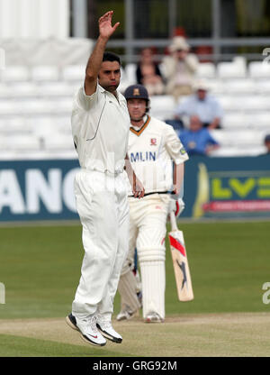 Kabir Ali di Hampshire appelli per il paletto di Essex battitore Tom Westley - Essex CCC vs Hamsphire CCC - LV County Cricket campionato presso la Ford County Ground, Chelmsford - 11/04/10 Foto Stock