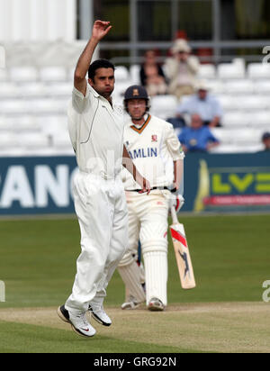 Kabir Ali di Hampshire appelli per il paletto di Essex battitore Tom Westley - Essex CCC vs Hamsphire CCC - LV County Cricket campionato presso la Ford County Ground, Chelmsford - 11/04/10 Foto Stock