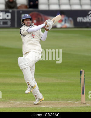 Martin van Jaarsveld in azione di ovatta per Kent - Essex CCC vs Kent CCC - LV County Championship Division One Cricket presso la Ford County Ground, Chelmsford - 10/05/10 Foto Stock