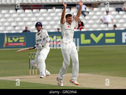 Simon Cook di Kent appelli per il paletto di David Masters - Essex CCC vs Kent CCC - LV County Championship Division due alla Ford County Ground - 11/04/11 Foto Stock