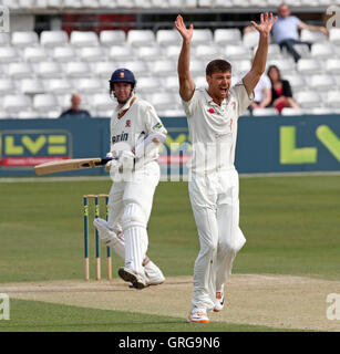 Simon Cook di Kent appelli per il paletto di David Masters - Essex CCC vs Kent CCC - LV County Championship Division due alla Ford County Ground - 11/04/11 Foto Stock