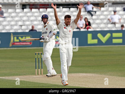 Simon Cook di Kent appelli per il paletto di David Masters - Essex CCC vs Kent CCC - LV County Championship Division due alla Ford County Ground - 11/04/11 Foto Stock