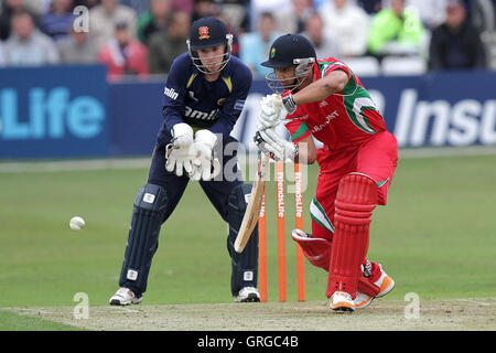 Alviro Petersen in azione di ovatta per Glamorgan - Essex Eagles vs Glamorgan Dragons - Amici vita T20 Cricket la Ford County Ground, Chelmsford Essex - 08/07/11 Foto Stock