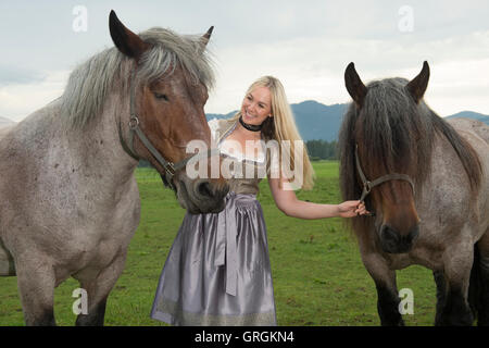 Sindeldorf, Germania. Il 29 agosto, 2016. Attenzione periodo di bloccaggio: 8 settembre 2016, 12 AM/dpa esclusivo: La Wiesn playmate Kathie Kern in posa con la fabbrica di birra cavalli a Urthalerhof in sindeldorf, Germania, 29 agosto 2016. Il Wiesnplaymate 2016 da un piccolo villaggio di montagna ha visitato il "horse power' che tira la birra pesanti carri presso la più grande fiera del divertimento nel mondo, l'Oktoberfest. Foto: FELIX HOERHAGER/dpa/Alamy Live News Foto Stock