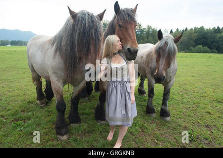 Sindeldorf, Germania. Il 29 agosto, 2016. Attenzione periodo di bloccaggio: 8 settembre 2016, 12 AM/dpa esclusivo: La Wiesn playmate Kathie Kern in posa con la fabbrica di birra cavalli a Urthalerhof in sindeldorf, Germania, 29 agosto 2016. Il Wiesnplaymate 2016 da un piccolo villaggio di montagna ha visitato il "horse power' che tira la birra pesanti carri presso la più grande fiera del divertimento nel mondo, l'Oktoberfest. Foto: FELIX HOERHAGER/dpa/Alamy Live News Foto Stock