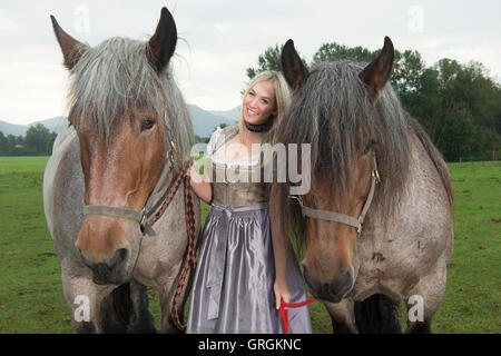 Sindeldorf, Germania. Il 29 agosto, 2016. Attenzione periodo di bloccaggio: 8 settembre 2016, 12 AM/dpa esclusivo: La Wiesn playmate Kathie Kern in posa con la fabbrica di birra cavalli a Urthalerhof in sindeldorf, Germania, 29 agosto 2016. Il Wiesnplaymate 2016 da un piccolo villaggio di montagna ha visitato il "horse power' che tira la birra pesanti carri presso la più grande fiera del divertimento nel mondo, l'Oktoberfest. Foto: FELIX HOERHAGER/dpa/Alamy Live News Foto Stock