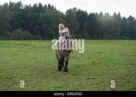 Sindeldorf, Germania. Il 29 agosto, 2016. Attenzione periodo di bloccaggio: 8 settembre 2016, 12 AM/dpa esclusivo: La Wiesn playmate Kathie Kern in posa con la fabbrica di birra cavalli a Urthalerhof in sindeldorf, Germania, 29 agosto 2016. Il Wiesnplaymate 2016 da un piccolo villaggio di montagna ha visitato il "horse power' che tira la birra pesanti carri presso la più grande fiera del divertimento nel mondo, l'Oktoberfest. Foto: FELIX HOERHAGER/dpa/Alamy Live News Foto Stock