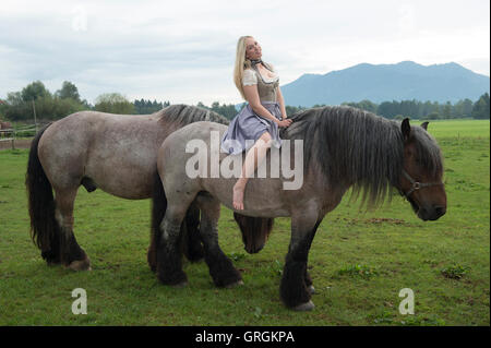 Sindeldorf, Germania. Il 29 agosto, 2016. Attenzione periodo di bloccaggio: 8 settembre 2016, 12 AM/dpa esclusivo: La Wiesn playmate Kathie Kern in posa con la fabbrica di birra cavalli a Urthalerhof in sindeldorf, Germania, 29 agosto 2016. Il Wiesnplaymate 2016 da un piccolo villaggio di montagna ha visitato il "horse power' che tira la birra pesanti carri presso la più grande fiera del divertimento nel mondo, l'Oktoberfest. Foto: FELIX HOERHAGER/dpa/Alamy Live News Foto Stock