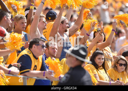 Morgantown, West Virginia, USA. 3 Sep, 2016. Ventole prendere in azione durante una partita di football giocato al campo alpinista a Morgantown WV. WVU beat Mizzou 26-11. © Ken Inness/ZUMA filo/Alamy Live News Foto Stock