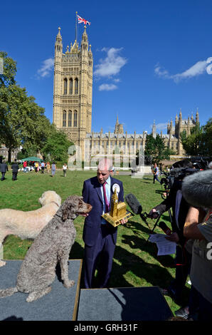 Londra, Regno Unito. 8 Settembre, 2016. Jonathan Reynolds MP (Manodopera: Stalybridge, Hyde, Mossley, Longdendale & Dukinfield) vincitore di Westminster cane dell'anno 2016, con Clinton e Kennedy. Credito: PjrNews/Alamy Live News Foto Stock