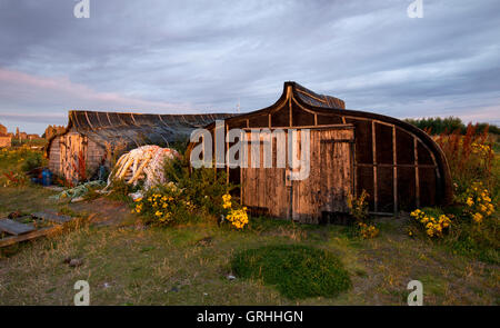 Capovolti barche di pescatori sulla spiaggia di sunrise, Lindisfarne Isola Santa Northumberland REGNO UNITO Foto Stock