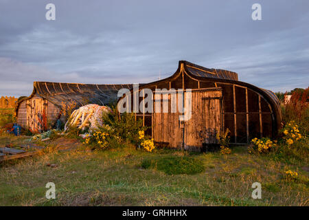 Capovolti barche di pescatori sulla spiaggia di sunrise, Lindisfarne Isola Santa Northumberland REGNO UNITO Foto Stock