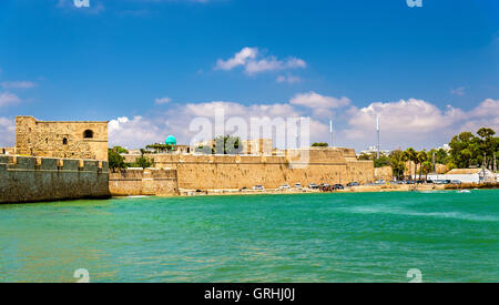 Antiche mura della città di Acri - Israele Foto Stock