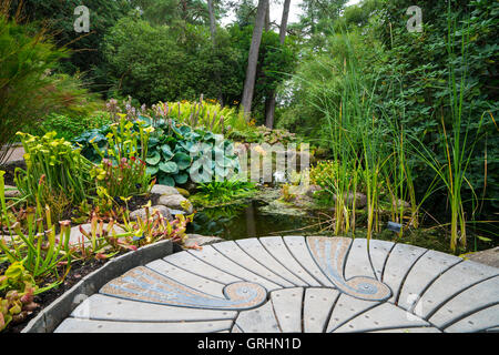 Giardino e laghetto in giardino Inverewe , Wester Ross, Scotland Regno Unito Foto Stock