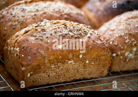 Pane appena sfornato pagnotte di pane seminate. Foto Stock
