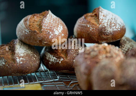 Pane appena sfornato pagnotte di pane. Foto Stock